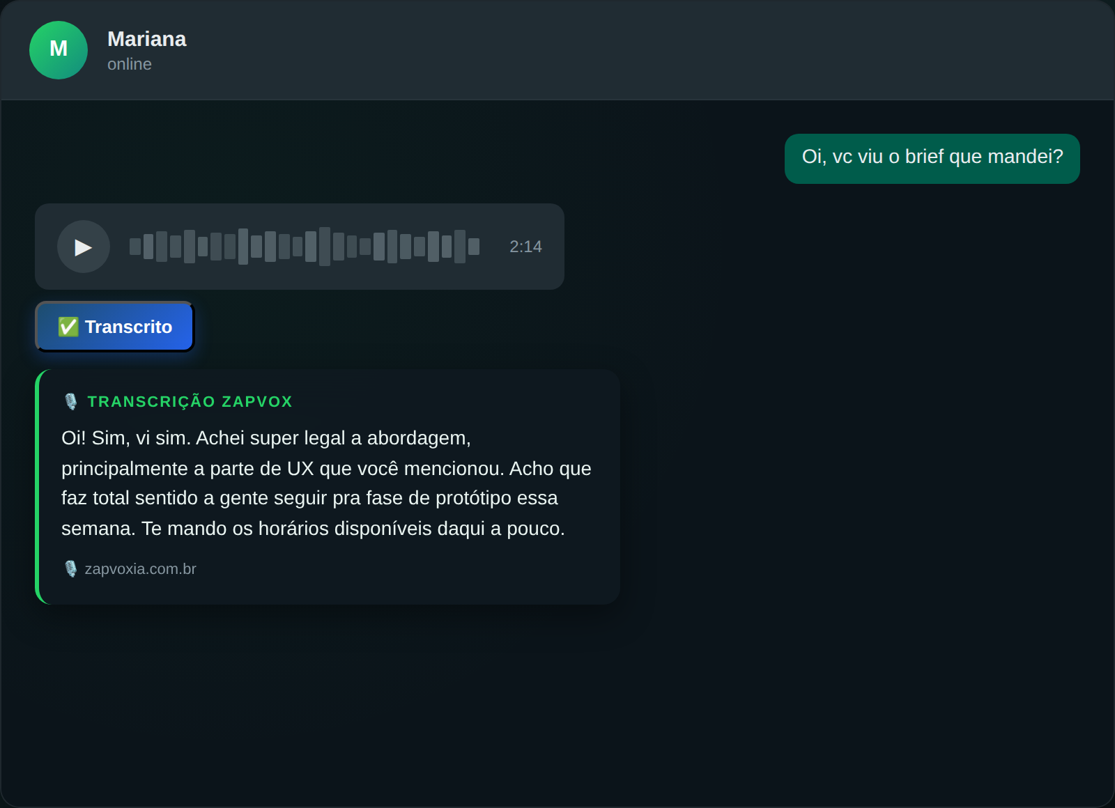 O mesmo áudio já transcrito, com o texto embaixo